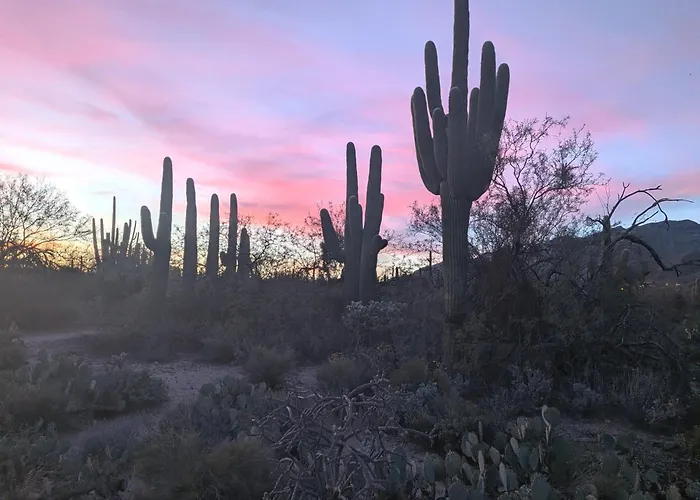 Casa Esplendora * Tucson