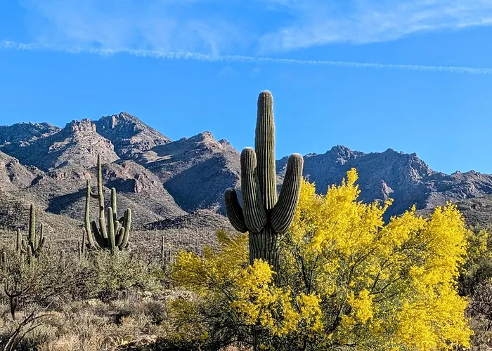 Holiday home Casa Esplendora Tucson
